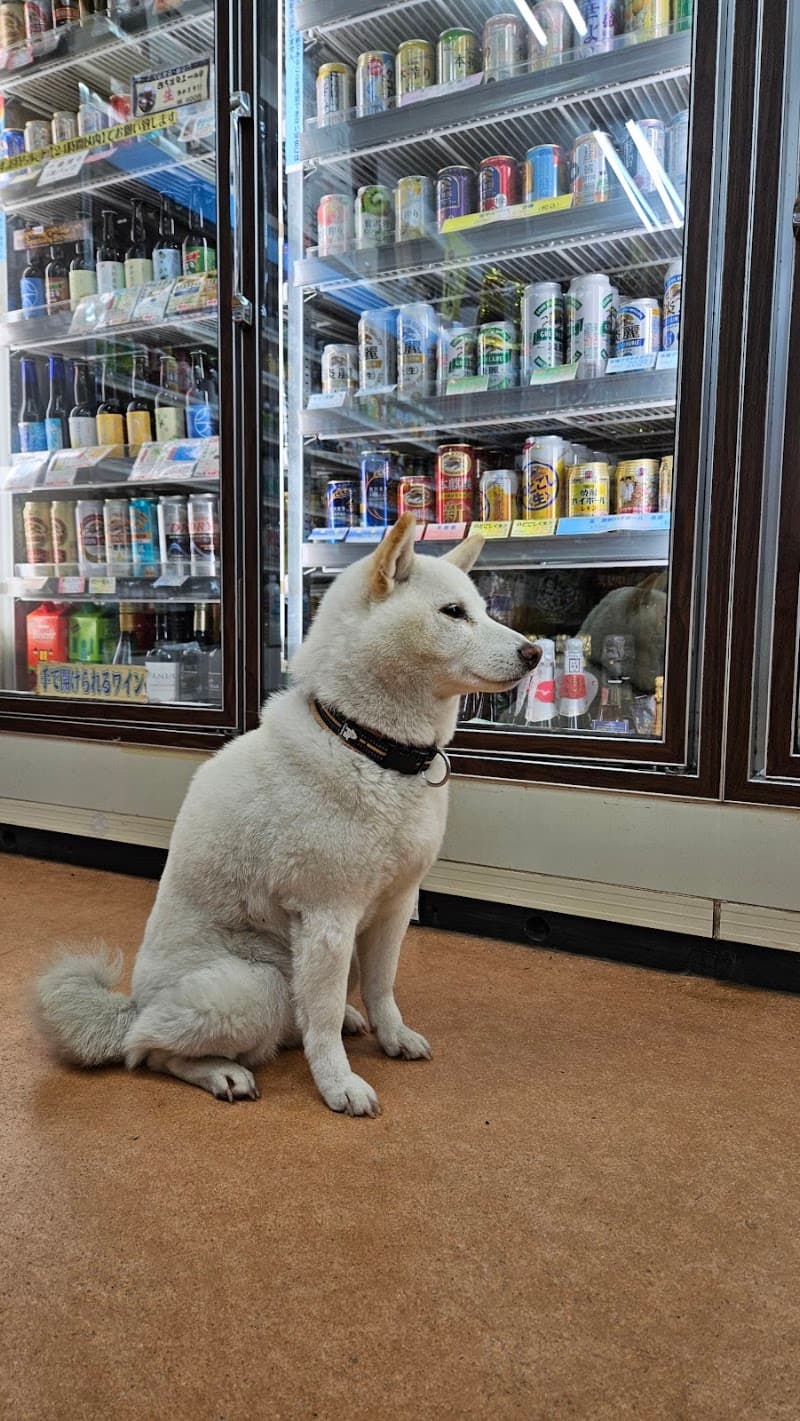 ヤマザキショップわしの屋酒店の店内・料理の写真 2枚目