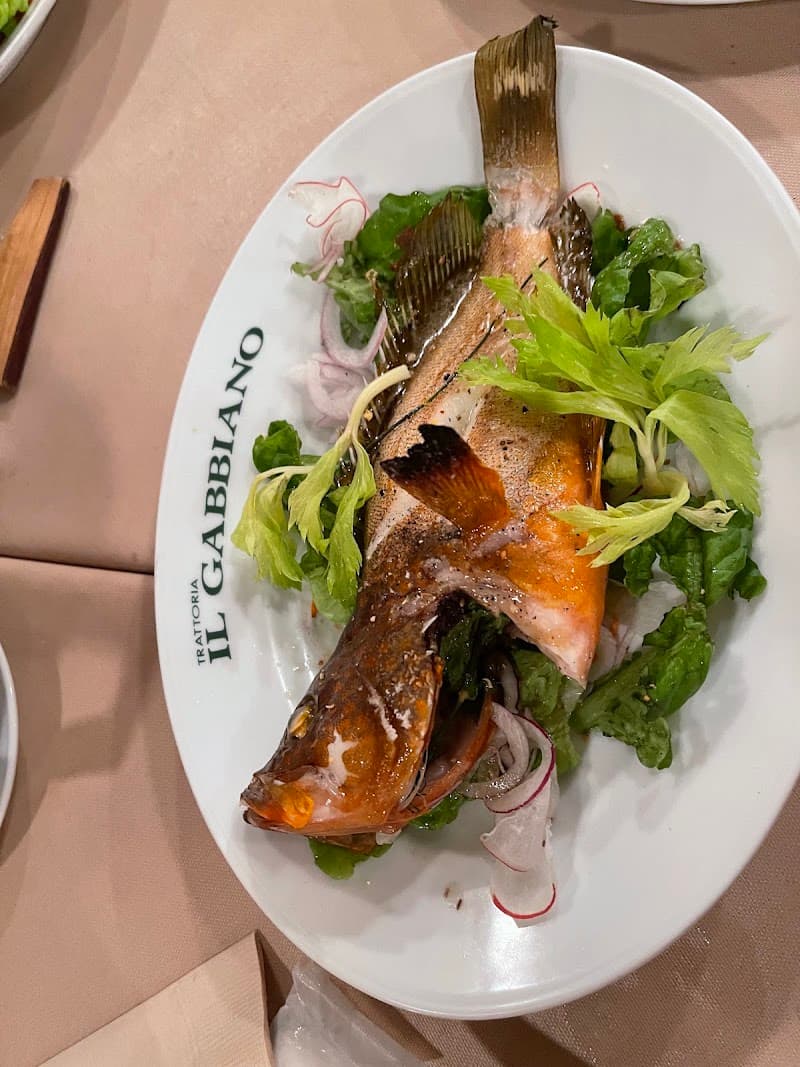 イル ガッビアーノの店内・料理の写真 3枚目