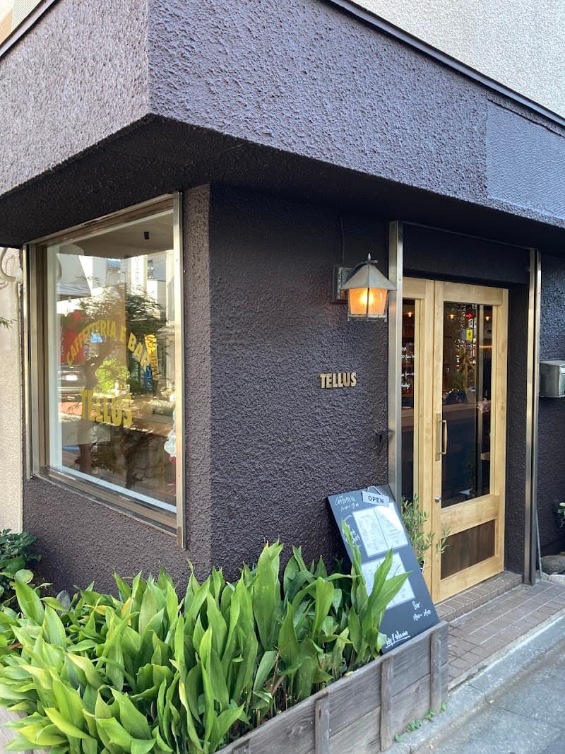 TELLUS(テルス)の店内・料理の写真 3枚目