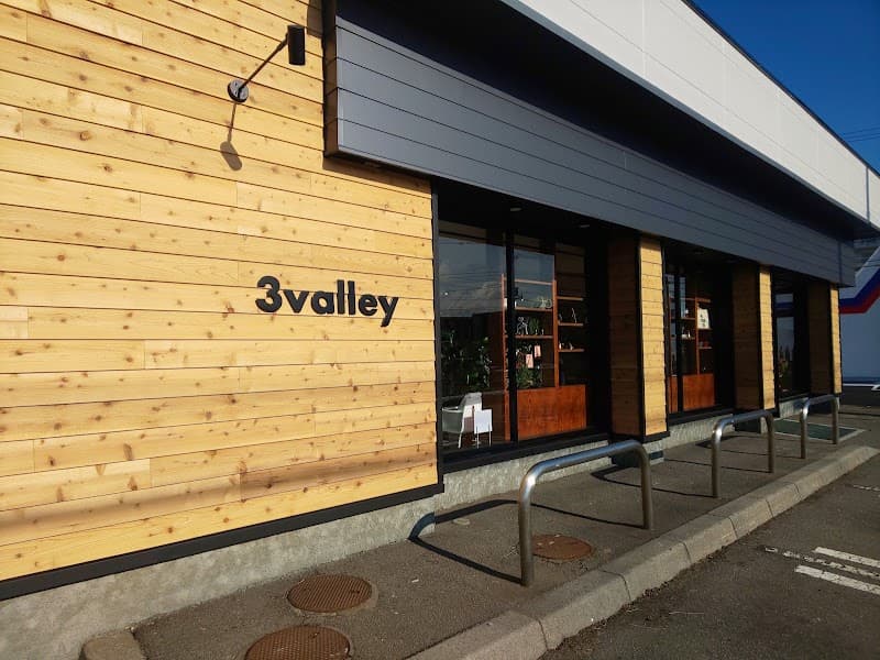 3valley (スリーヴァレイ)