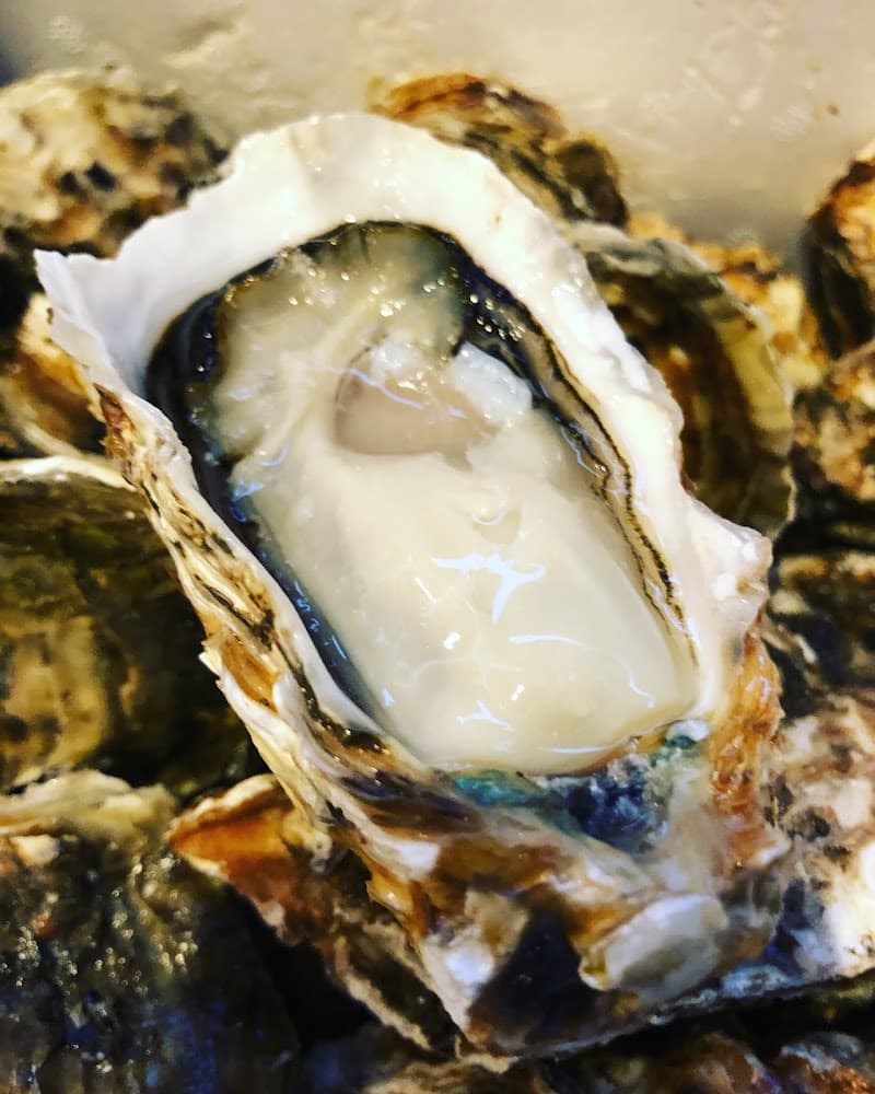 4ya ヨツヤの店内・料理の写真 2枚目