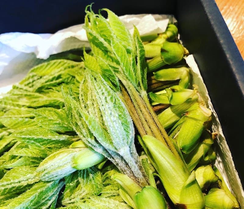 4ya ヨツヤの店内・料理の写真 3枚目