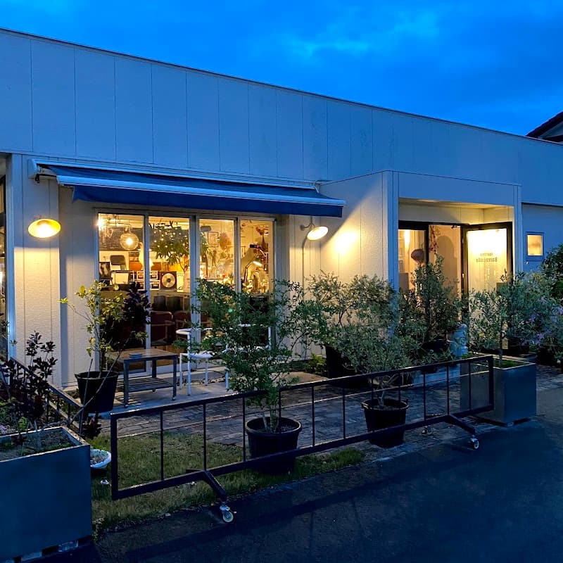 トラットリア・バラクーダの店内・料理の写真 1枚目