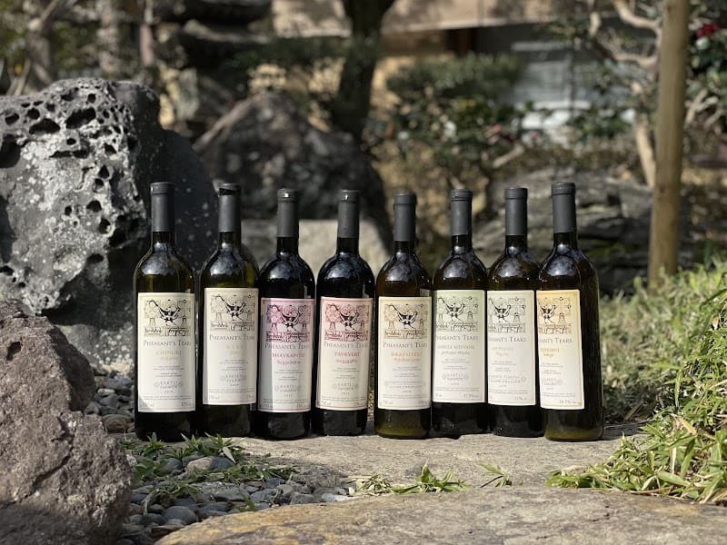 VINOGRADの店内・料理の写真 2枚目