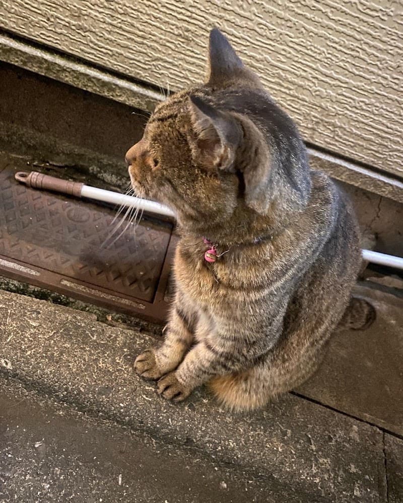 パッセリーナの店内・料理の写真 3枚目