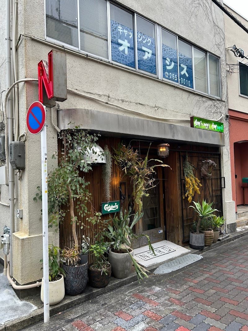 NERDの店内・料理の写真 3枚目