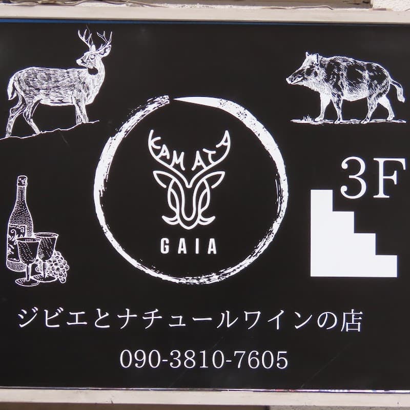 GAIA ジビエとナチュールワインの店の店内・料理の写真 3枚目