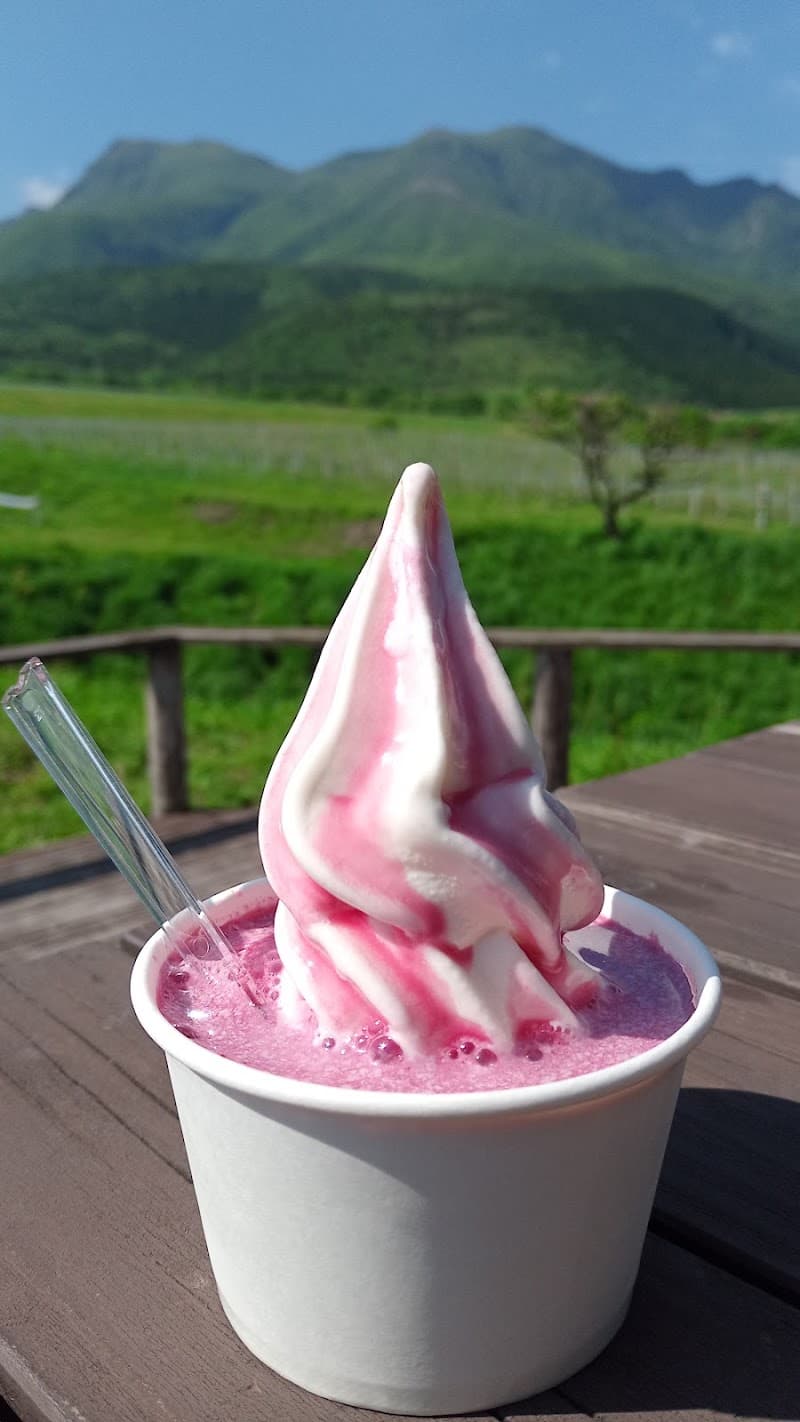 久住ワイナリーの店内・料理の写真 3枚目