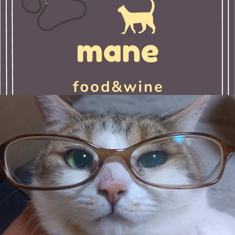 ｍａｎｅ マネの店内・料理の写真 3枚目