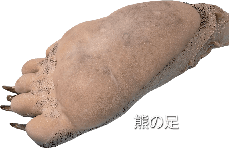 ぎふ銀杏の店内・料理の写真 3枚目