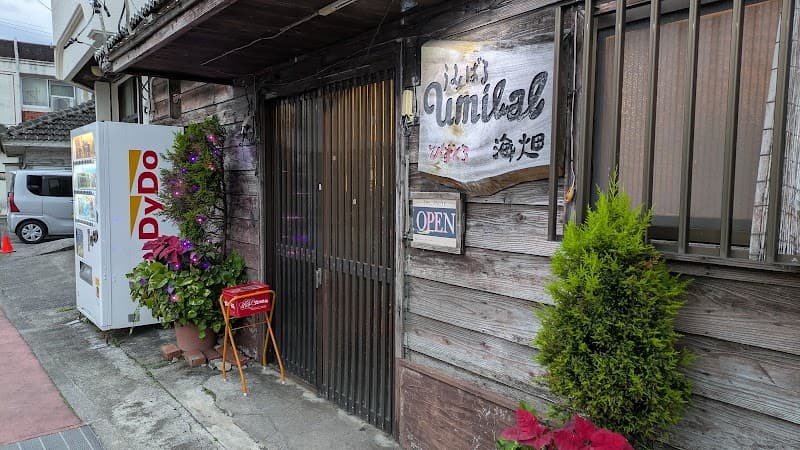 びすとろ海畑の店内・料理の写真 1枚目