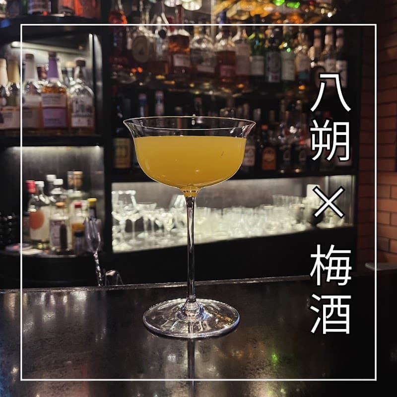 Bar Obuの店内・料理の写真 3枚目