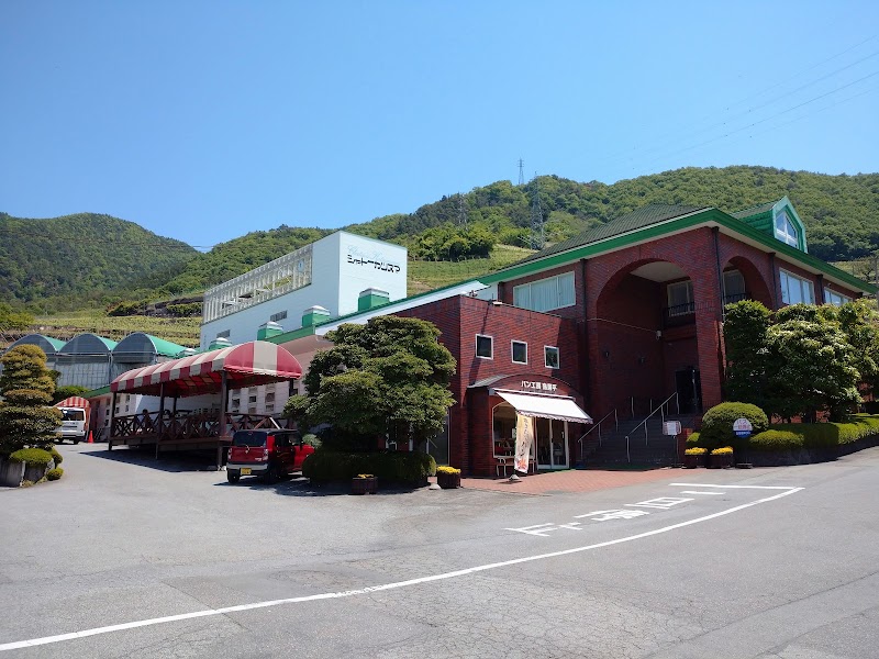 ドクターワインの店内・料理の写真 3枚目