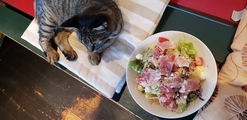 ビストロ グラッツェの店内・料理の写真 2枚目