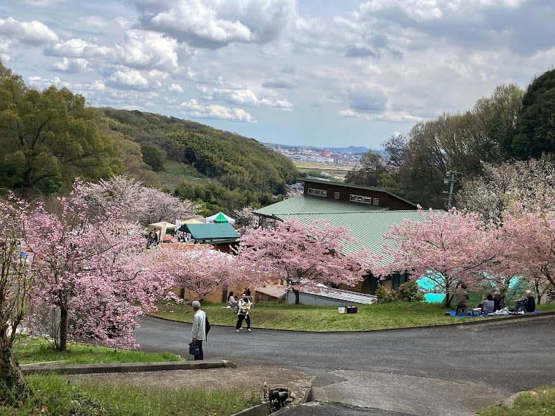 ふなおワイナリーの店内・料理の写真 3枚目