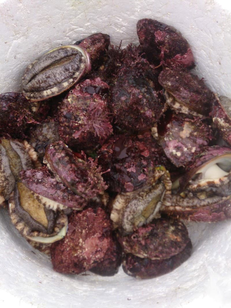 吉浜食堂の店内・料理の写真 2枚目