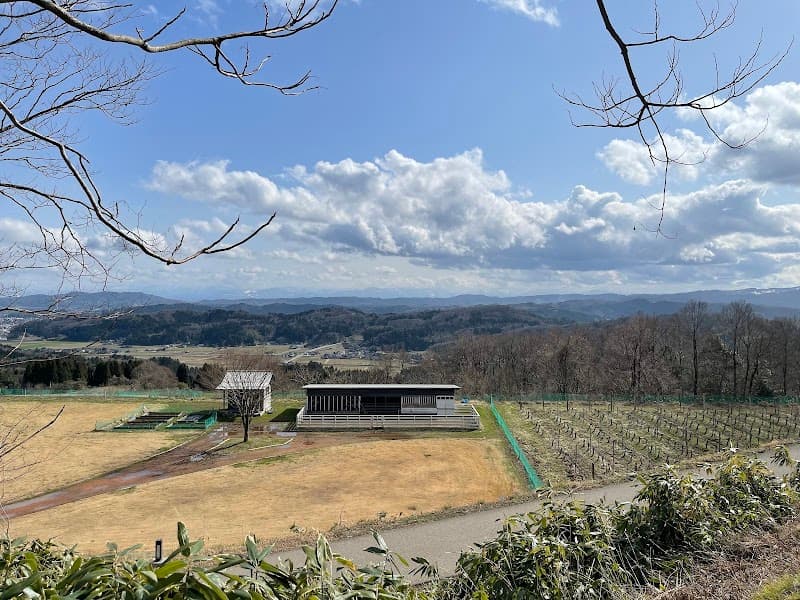 SAYS FARMの店内・料理の写真 2枚目
