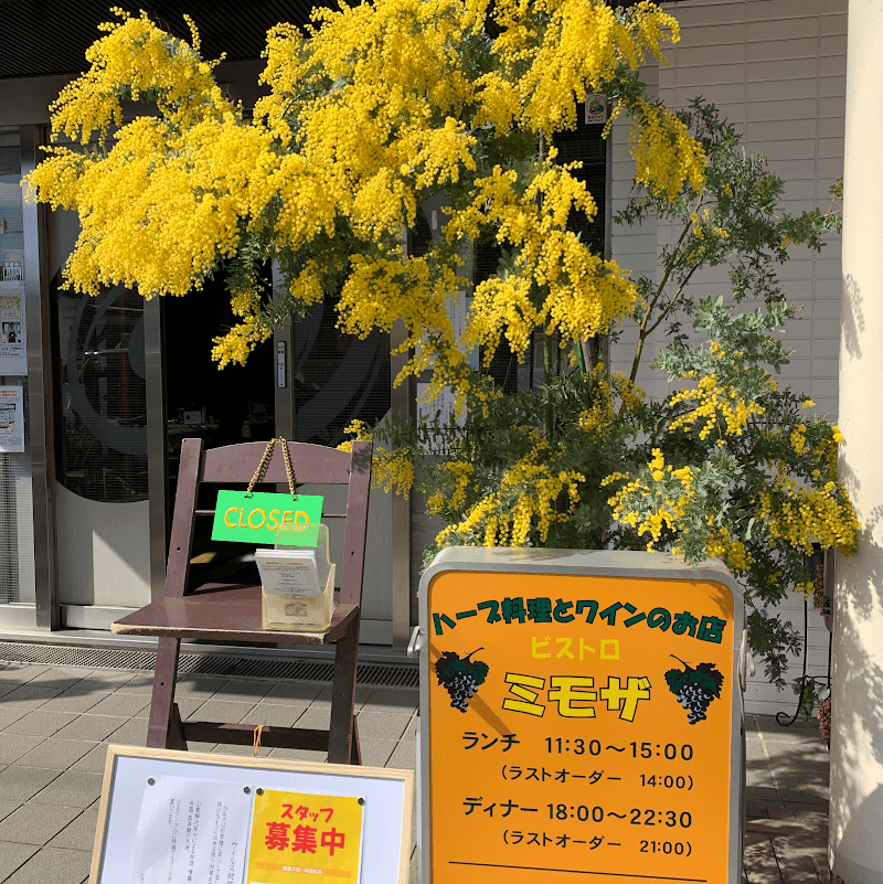 ビストロ ミモザの店内・料理の写真 3枚目