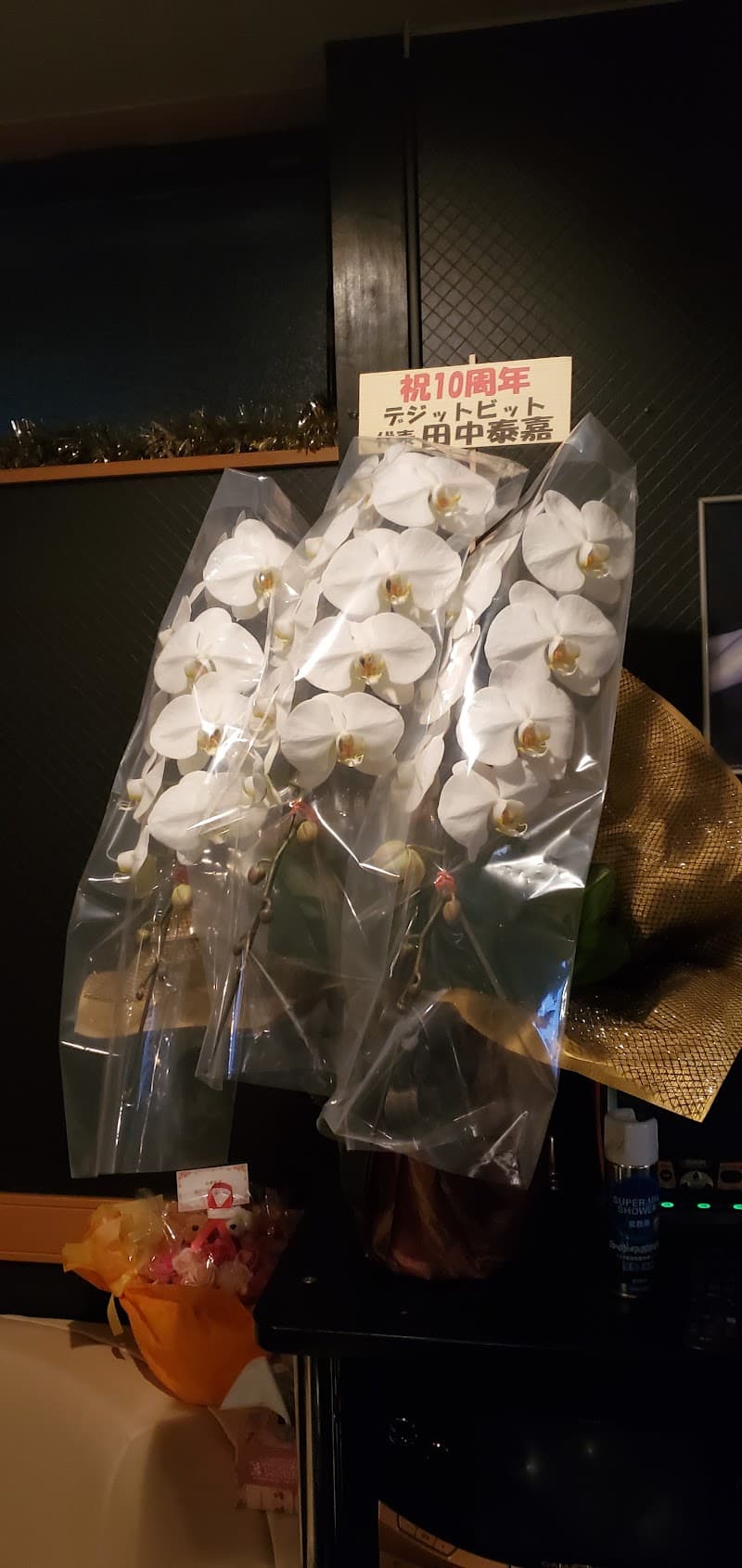 パブ ブリッジの店内・料理の写真 2枚目