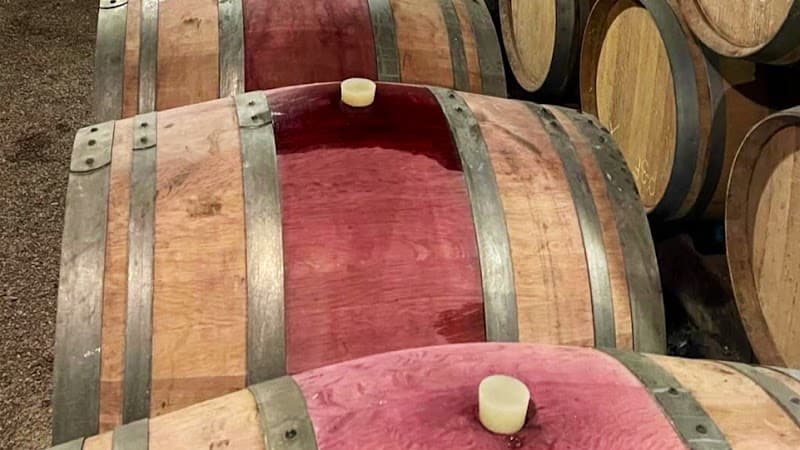 ワインダイニング米山 winedining.bizの店内・料理の写真 3枚目