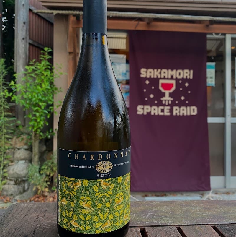 SAKAMORI SPACE RAID