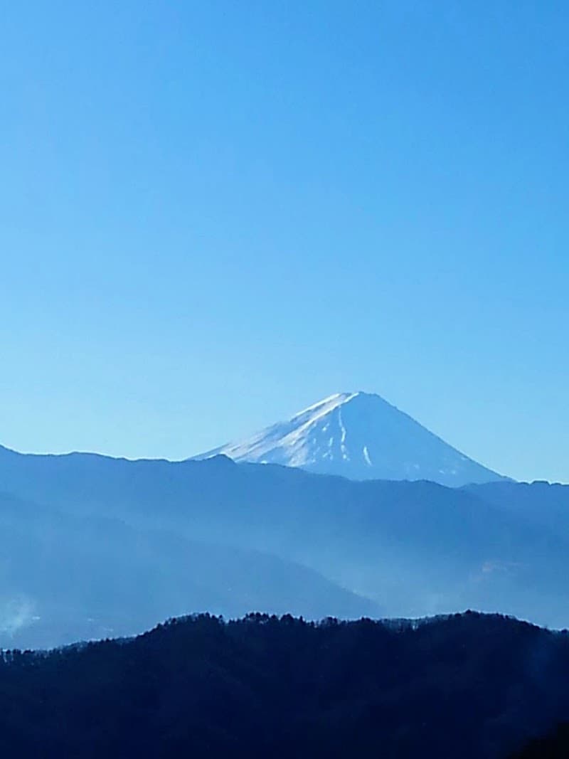 三枝農園