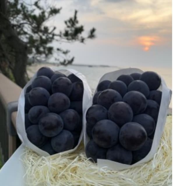 (株)植原農園の店内・料理の写真 2枚目