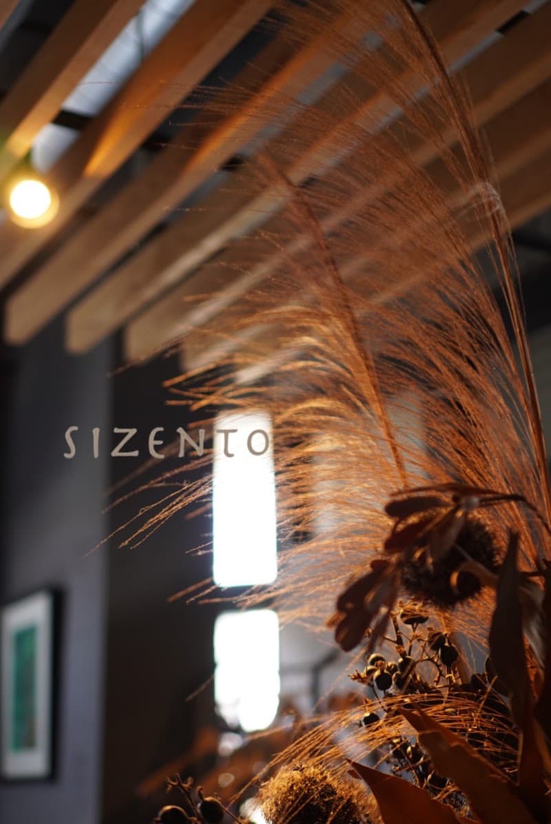sizentoの店内・料理の写真 3枚目