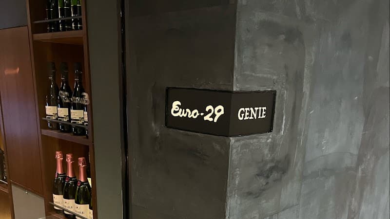 Euro29GENIE