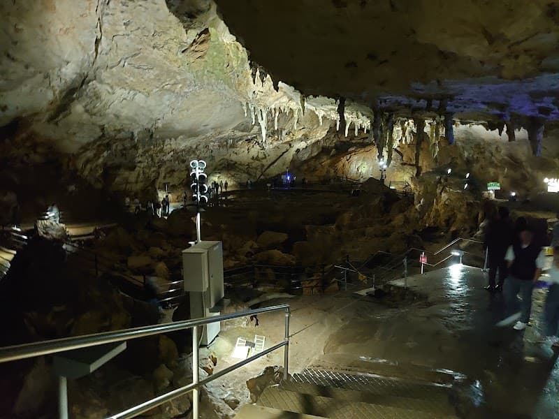 The Caveの店内・料理の写真 3枚目