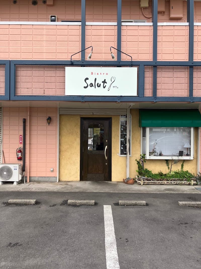 Salut サリュ