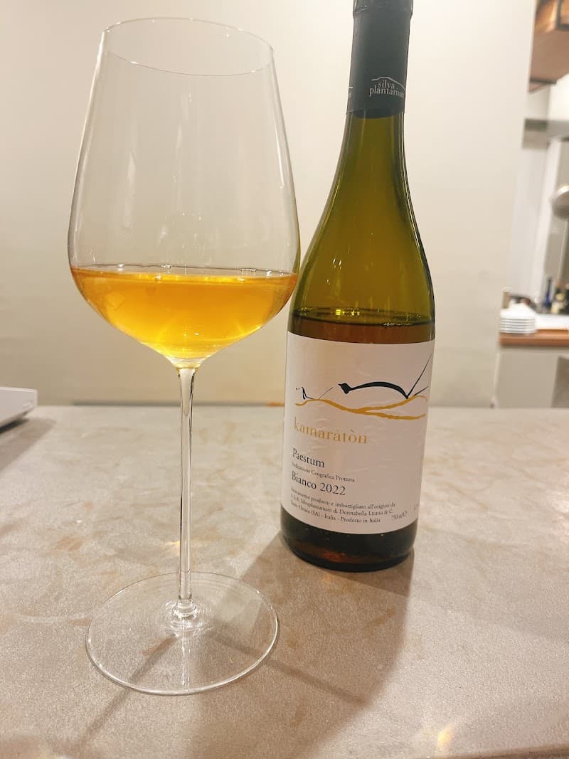 WINE&FOOD yuharaの店内・料理の写真 3枚目