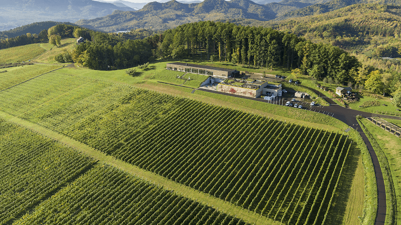 NIKI Hills Winery