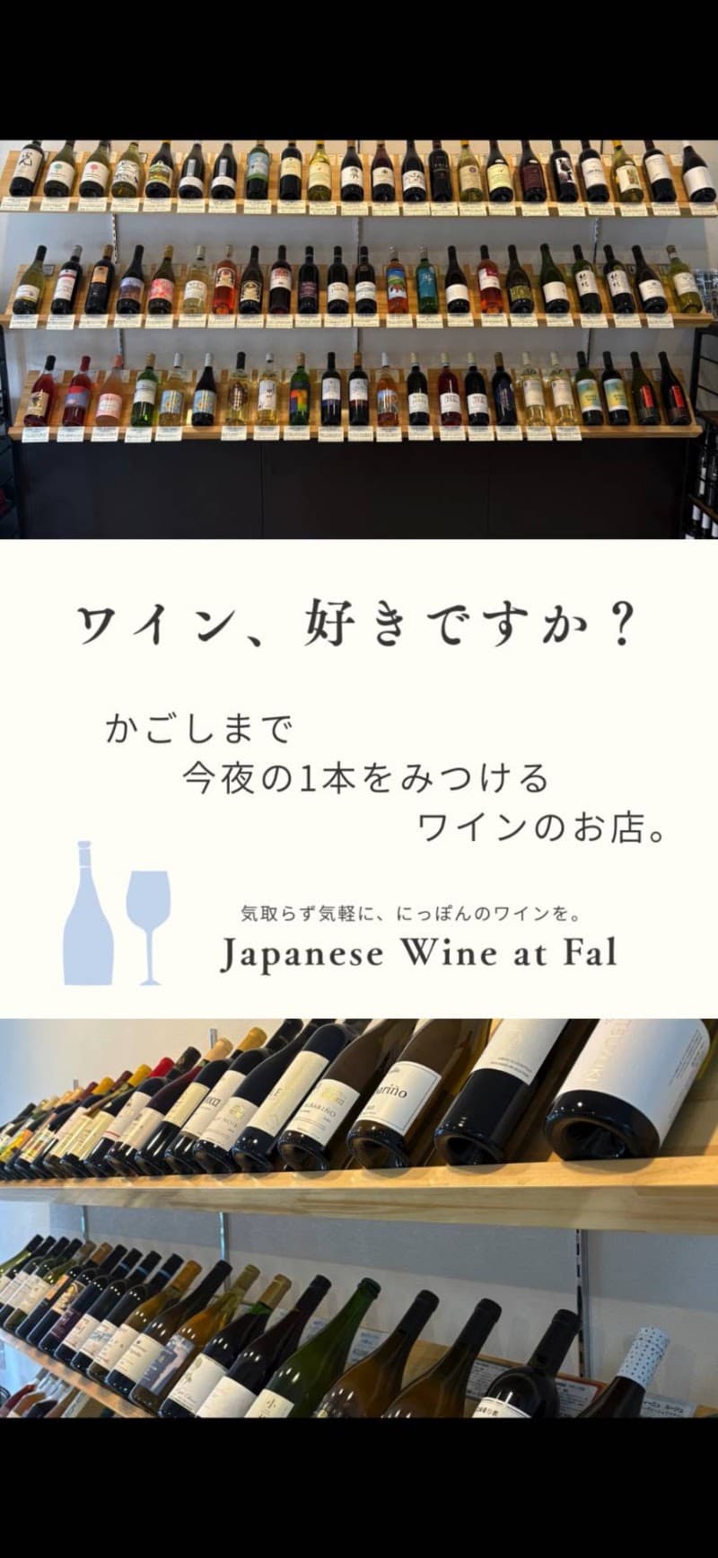 Japanese wine at Falの店内・料理の写真 3枚目