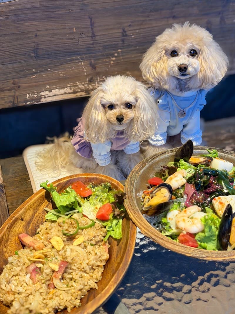 Pub Grandpa(パブ・グランパ)の店内・料理の写真 3枚目