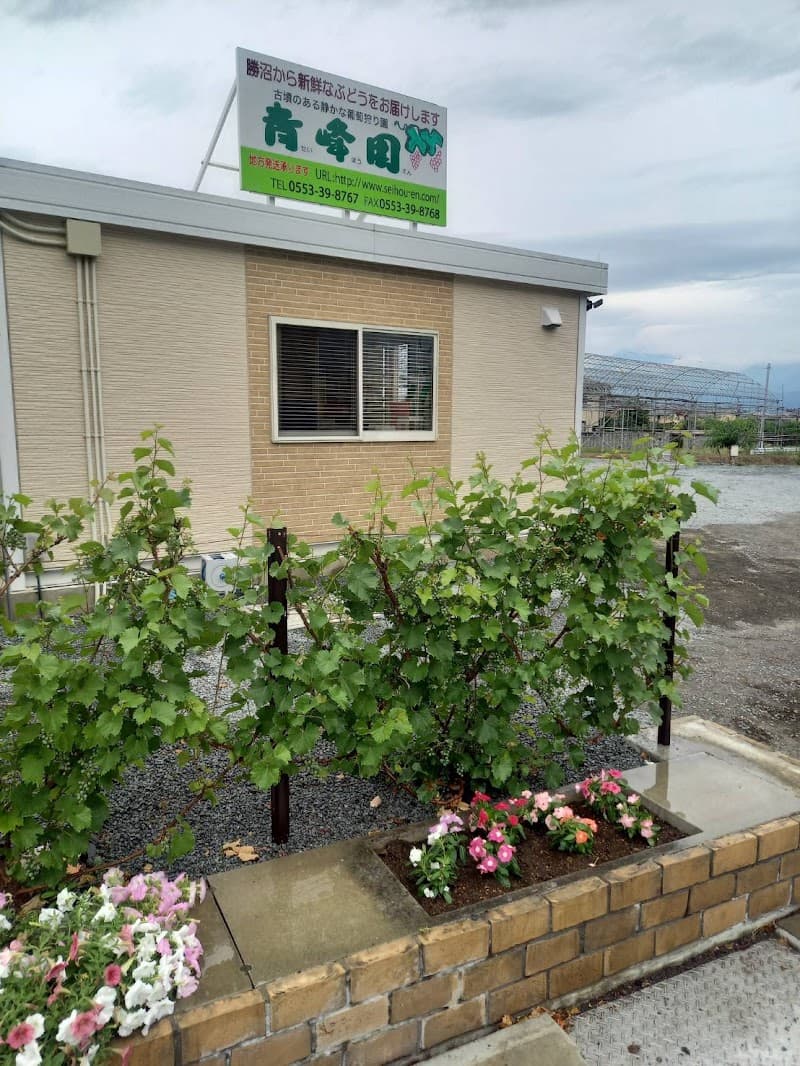 Vino･de･青峰園・株式会社エスティ設計 南アルプス市支店