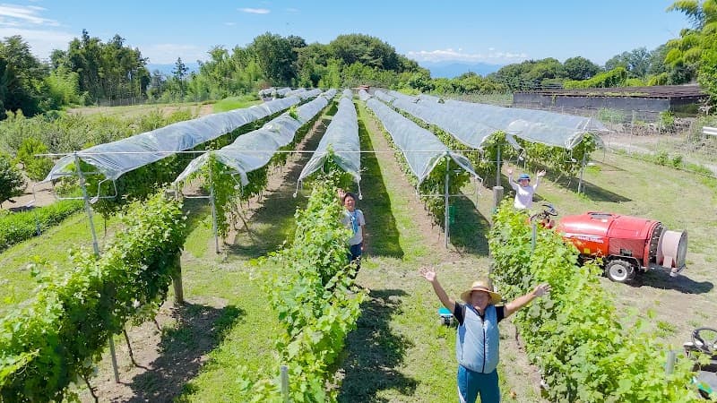 株式会社ISHIWATA VINEYARDの店内・料理の写真 2枚目