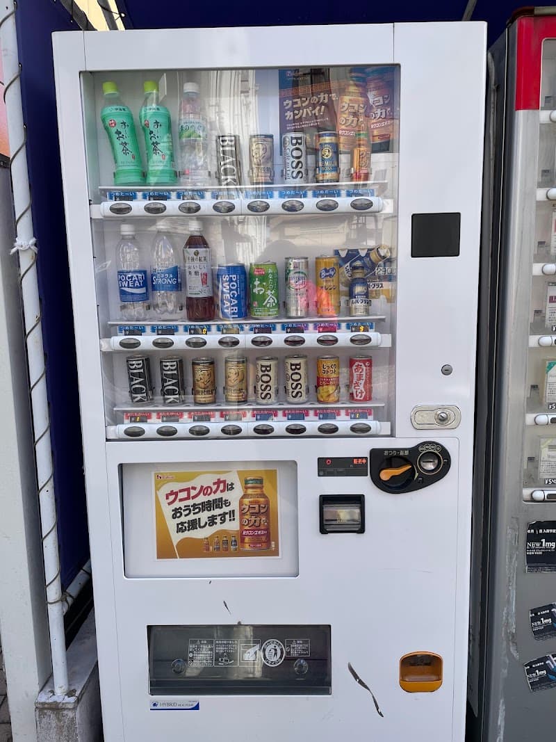 松島屋の店内・料理の写真 3枚目