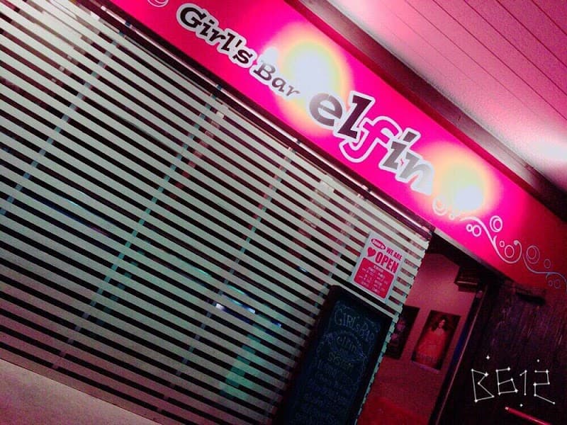 Bar elfin