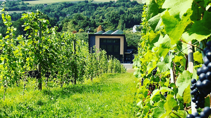 Domaine Bless